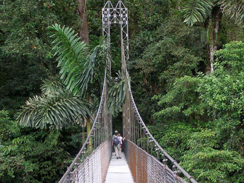 arenal-hanging-bridges