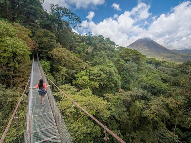 hanging-bridges.jpg